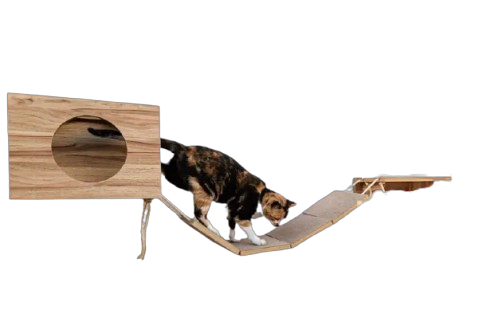 Nichos de parede para gatos
